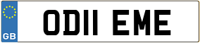 Truck License Plate